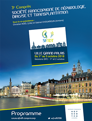 SFNDT 2018 Lille