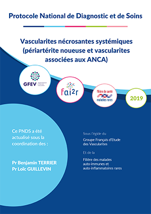 PNDS VNS
